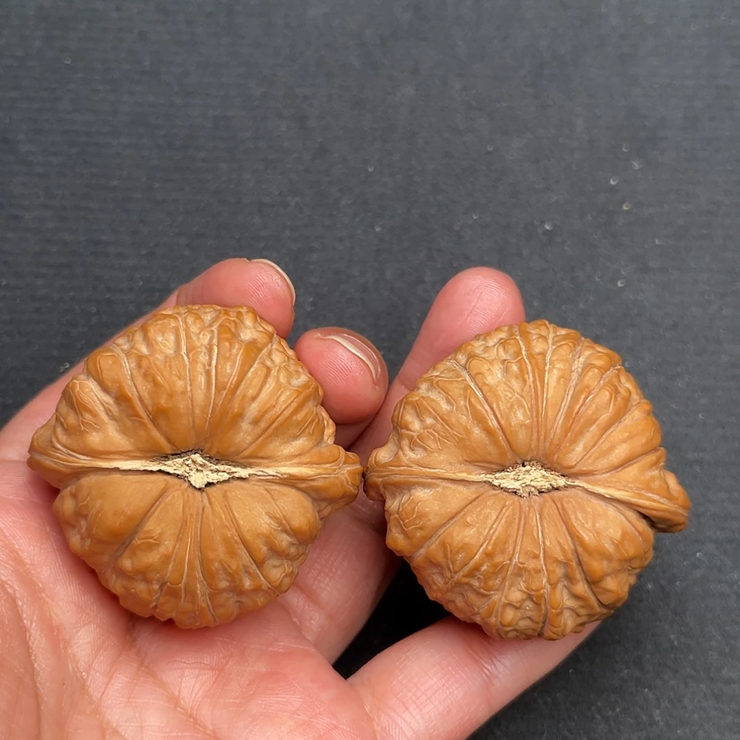 把件桃核48×47全品头茬南瓜墩XM1038