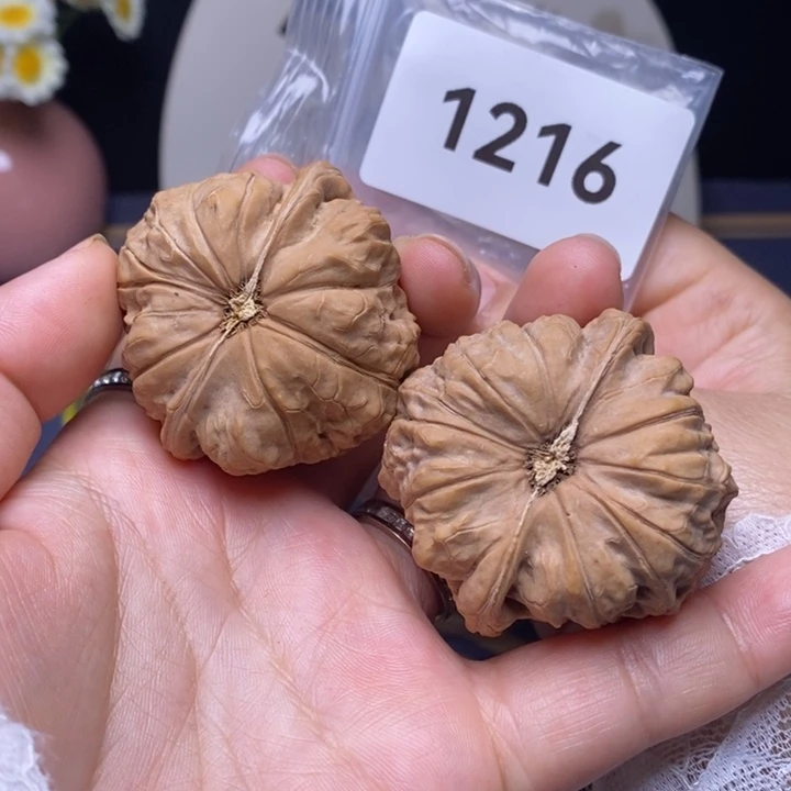 核桃46尺➕南瓜墩墩
