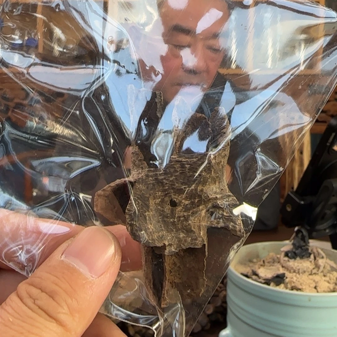 沉香摆件海南澄迈野树打孔料5克