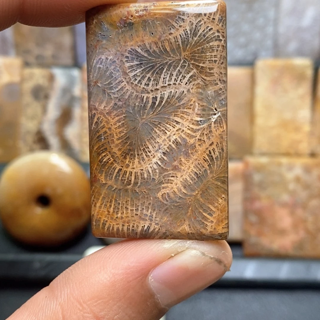 小***河合金硅化珊瑚（珊瑚玉）珠宝奇石