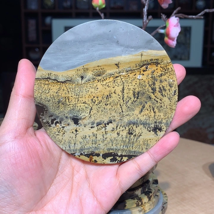 广西国画石摆件，观赏收藏