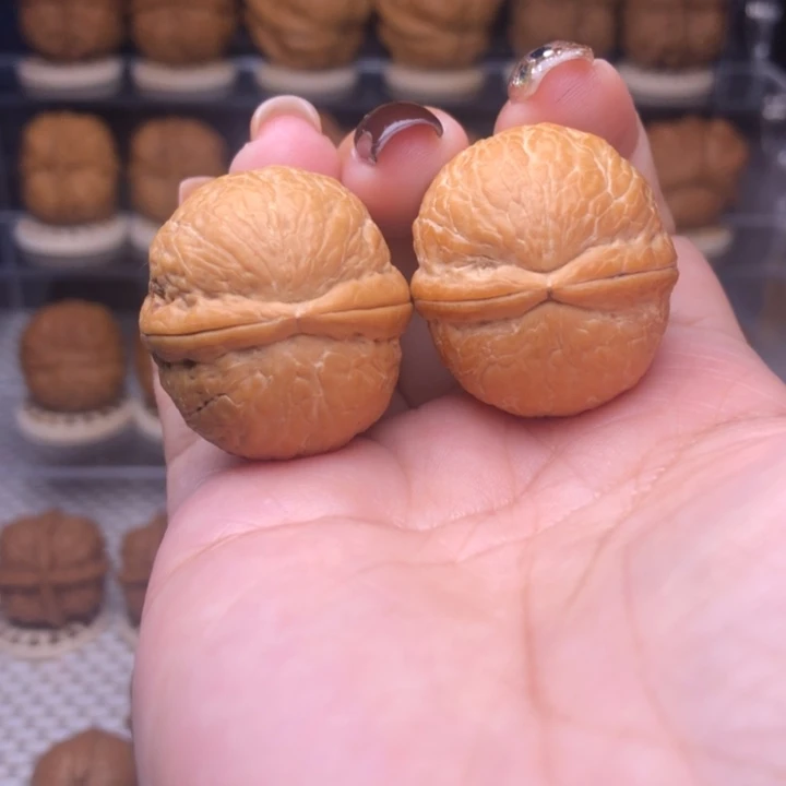 把件文玩核桃11号碧海龙珠30尺