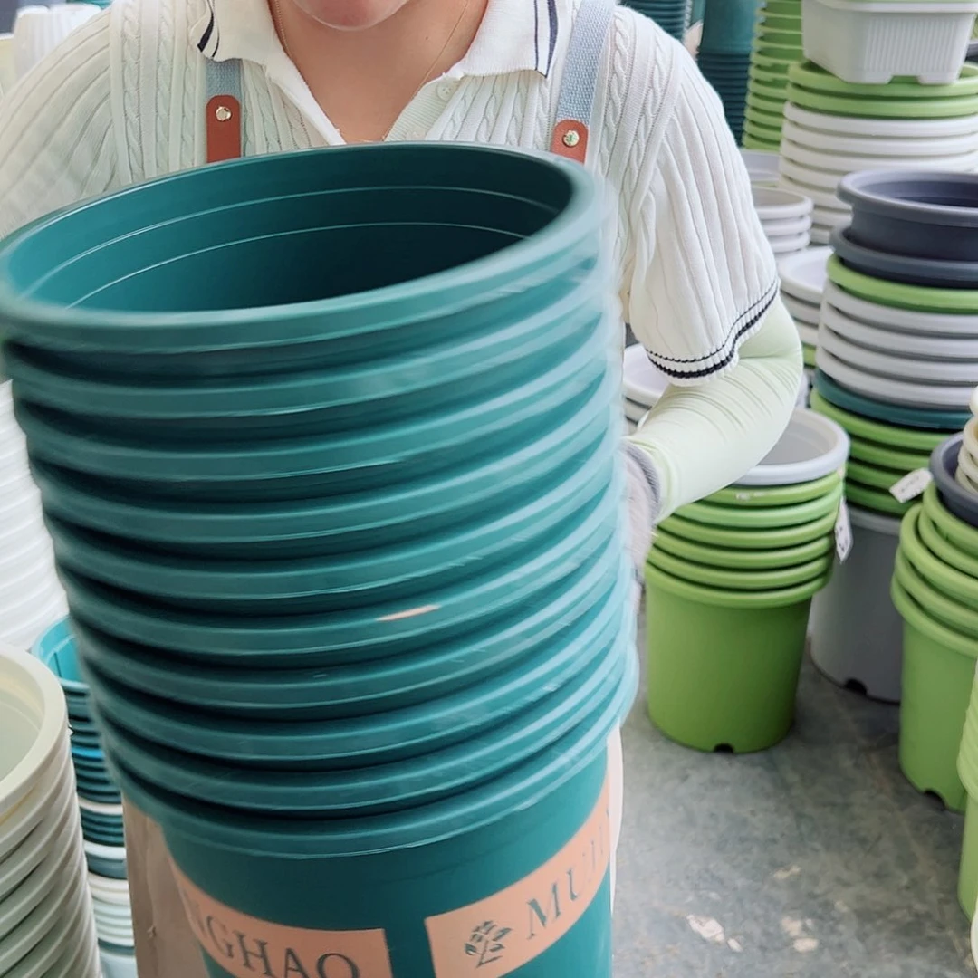 瑕疵5加仑墨绿色10个无托