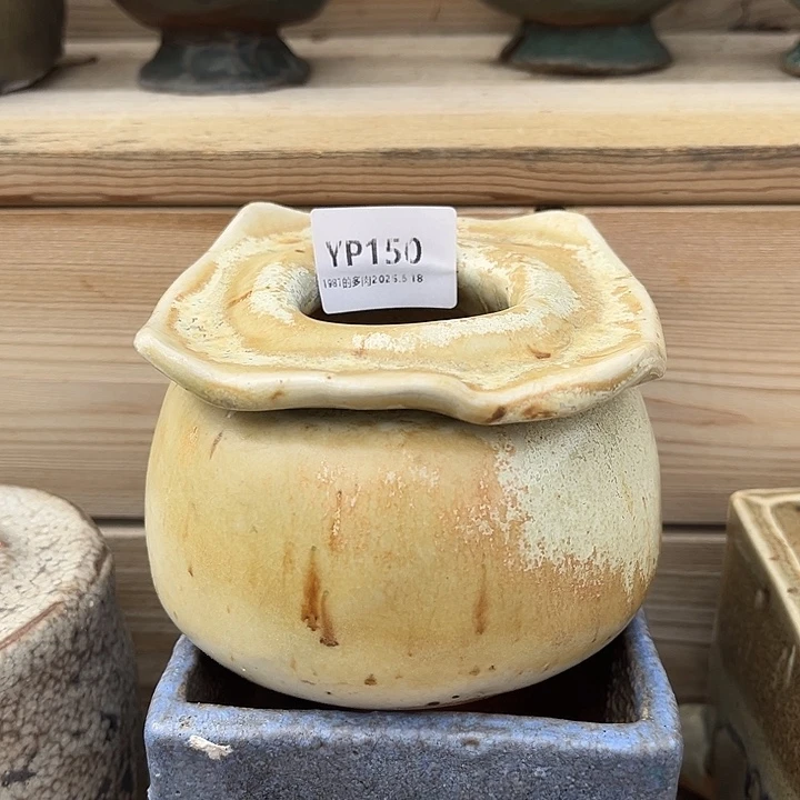 紫砂花盆若*六折福利盆150