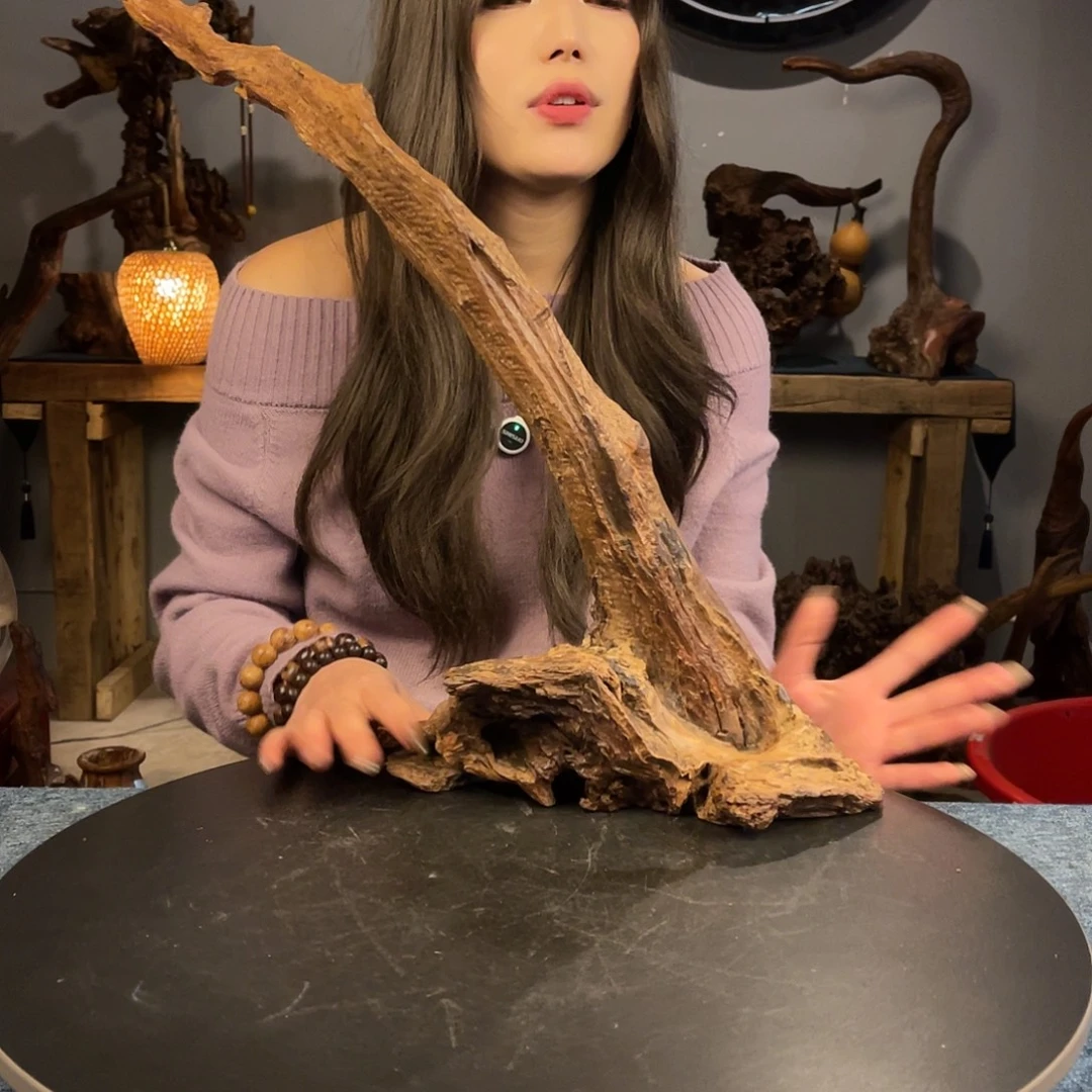 柚木4号紫柚木漂枝