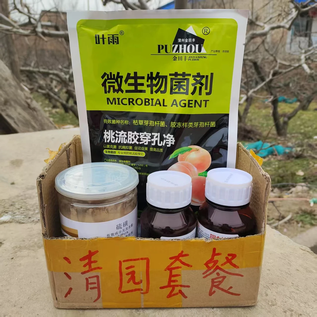 苹果树桃树梨树柿子树农资李子树花椒树流胶穿孔净果树清园套餐