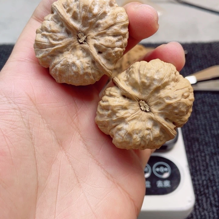 尼***拉文玩核桃吊坠蛤蟆