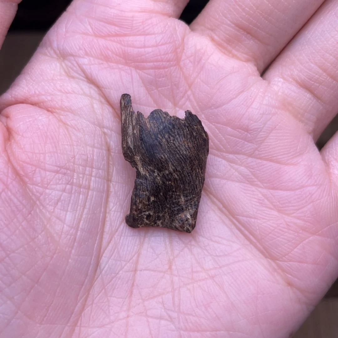 【闪购商品】香榧木海南尖峰岭沉水薄树心0.8克