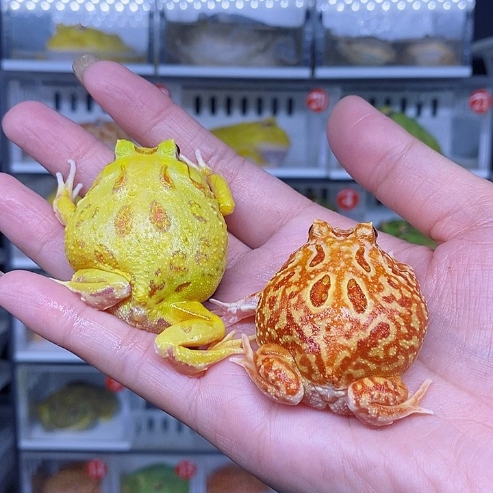 特价秒杀现货特价