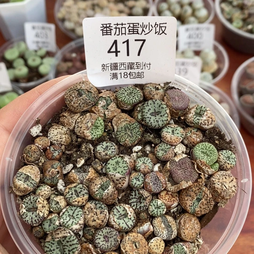 感谢您的支持，00417