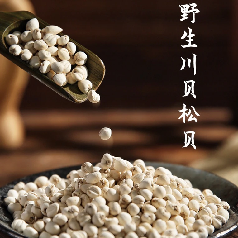 野生川贝直播间专属链接老板大气