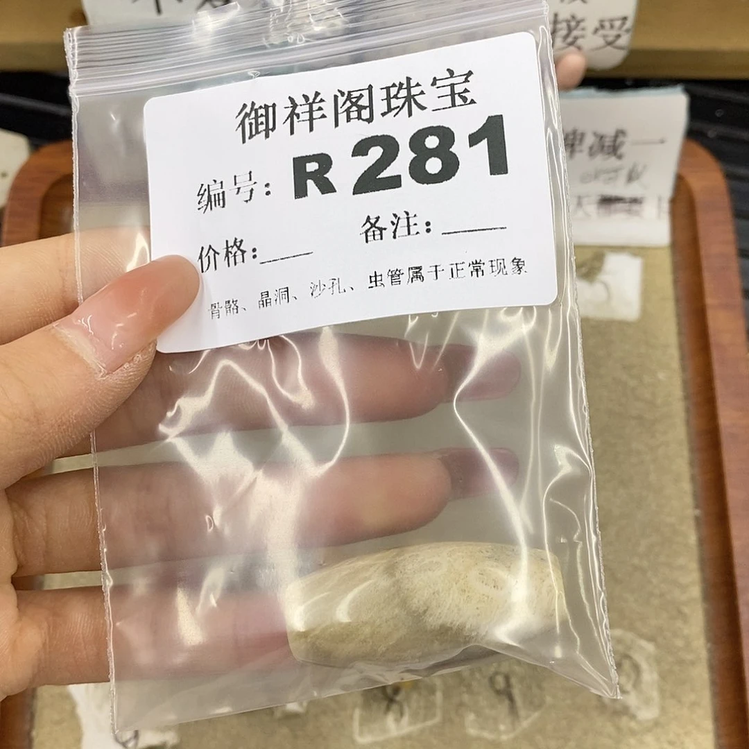 硅化珊瑚（珊瑚玉）未镶嵌颈饰窦*米