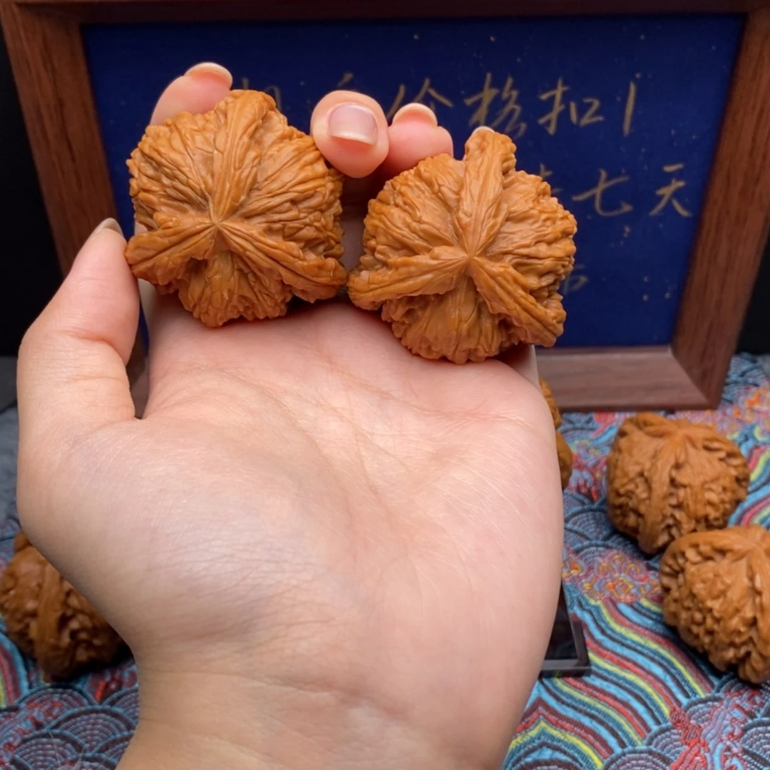 【闪购商品】安*白狮