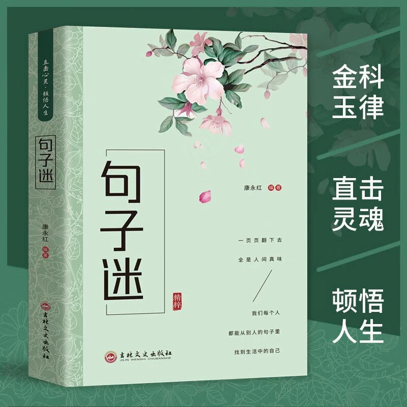 句子迷书正版名言佳句人生答疑励志书籍优美句子作文写作素材书籍