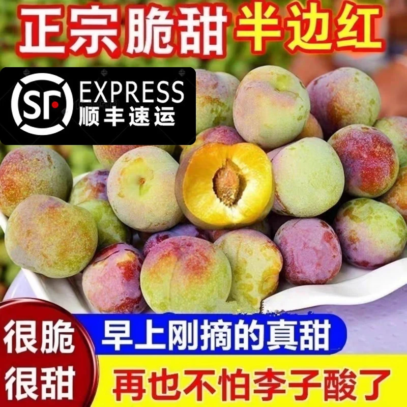 【顺丰包邮】正宗四川脱骨李半边红茵红李新鲜应季脆甜精品礼盒装