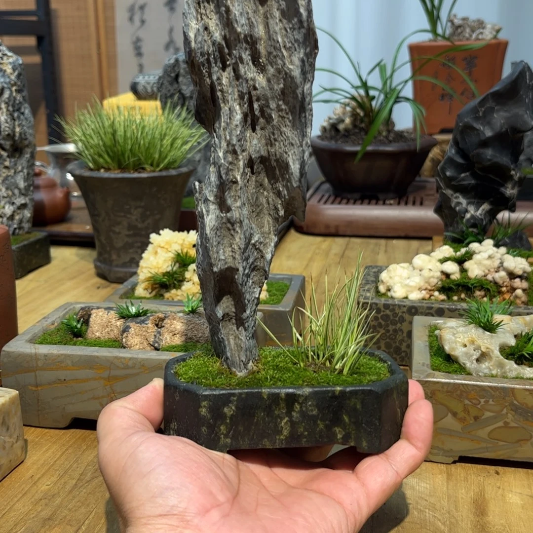 遥***崂山玉石➕立供菖蒲