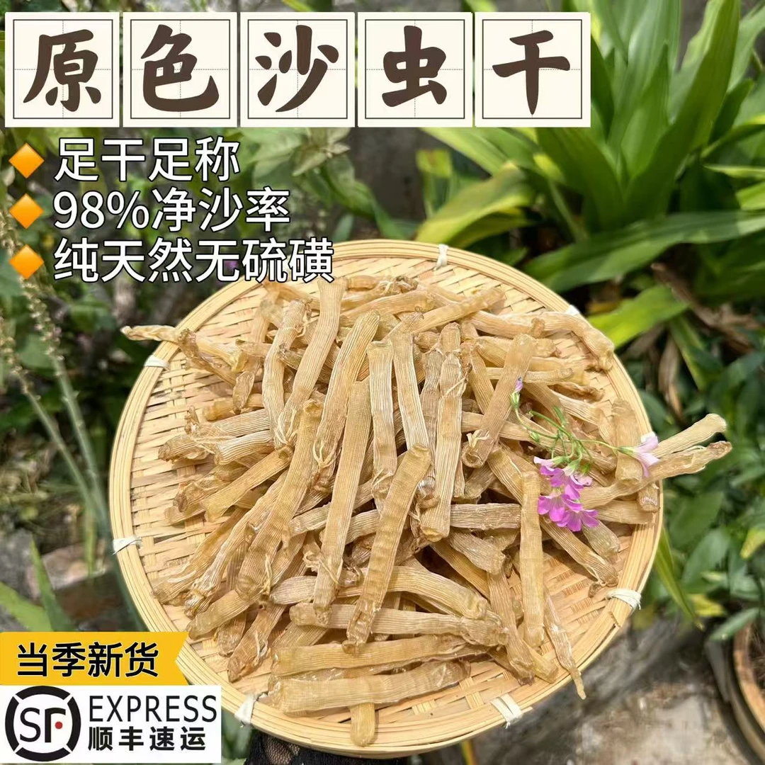 原色黄沙虫干北海发货海鲜干货煮粥煮汤干净