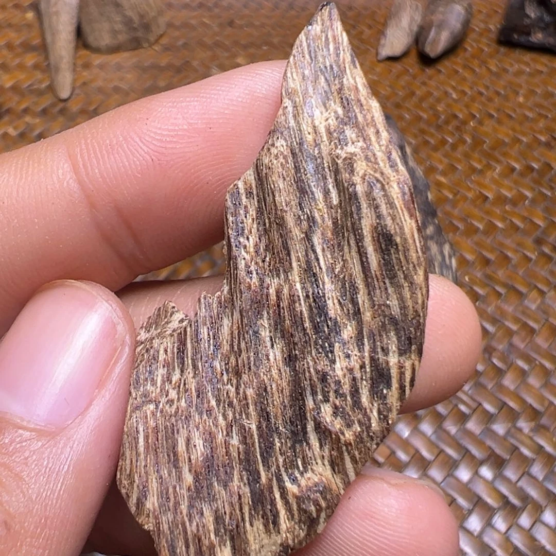 沉香沉香碎屑海南沉水老虫漏2.6克重的