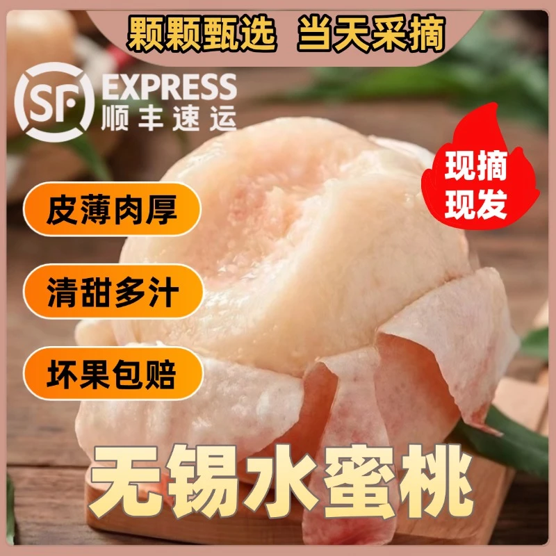 【4.6-4.9两9颗】顺丰包邮无锡正宗水蜜桃清甜可口礼盒装江苏省