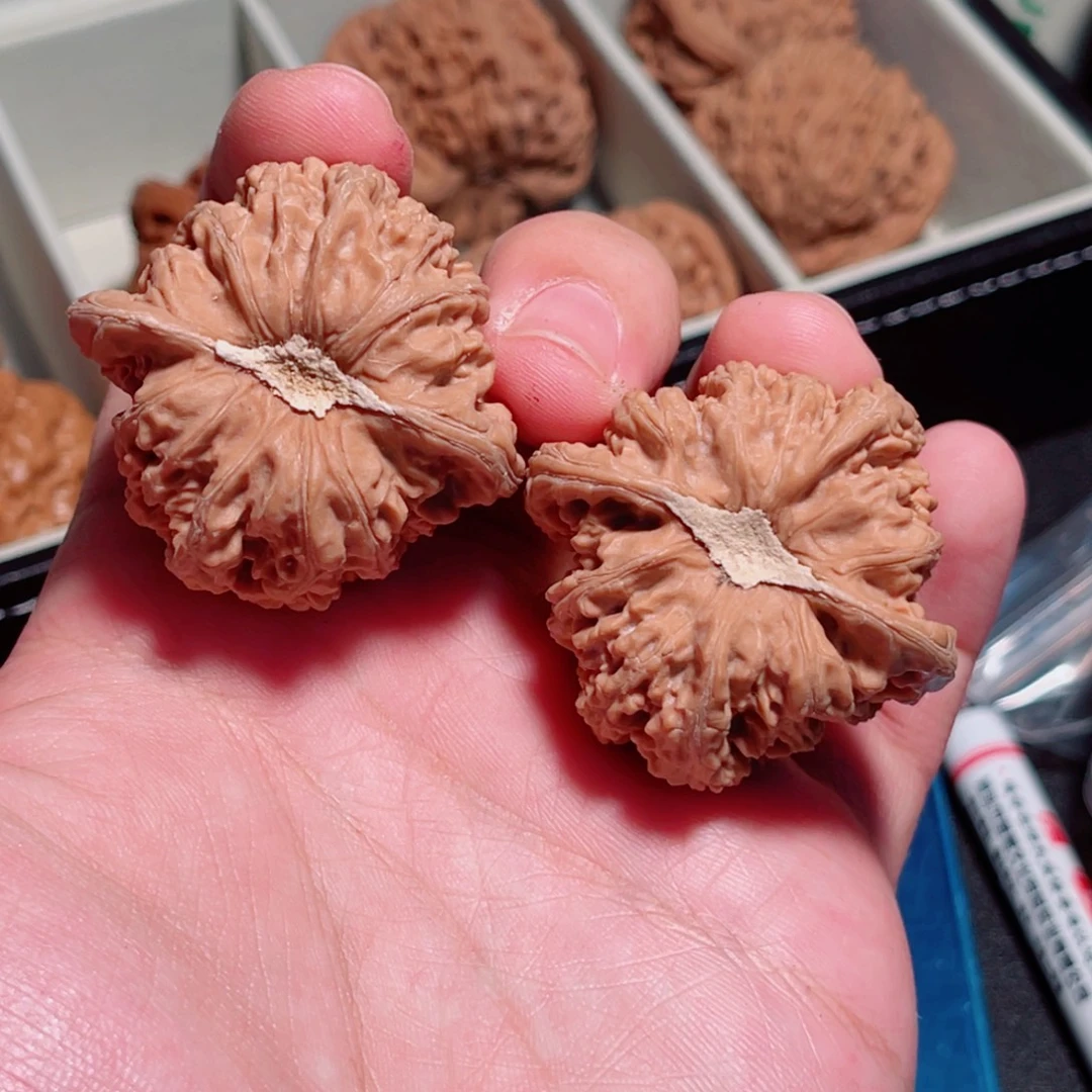 Y***42全品三角密纹石膏底