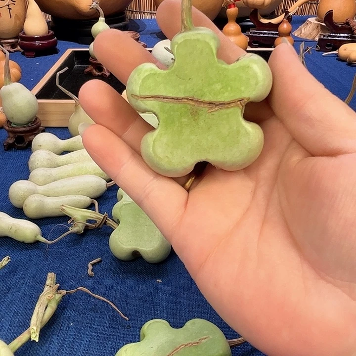 困葫芦葫芦葫芦葫芦葫芦葫芦