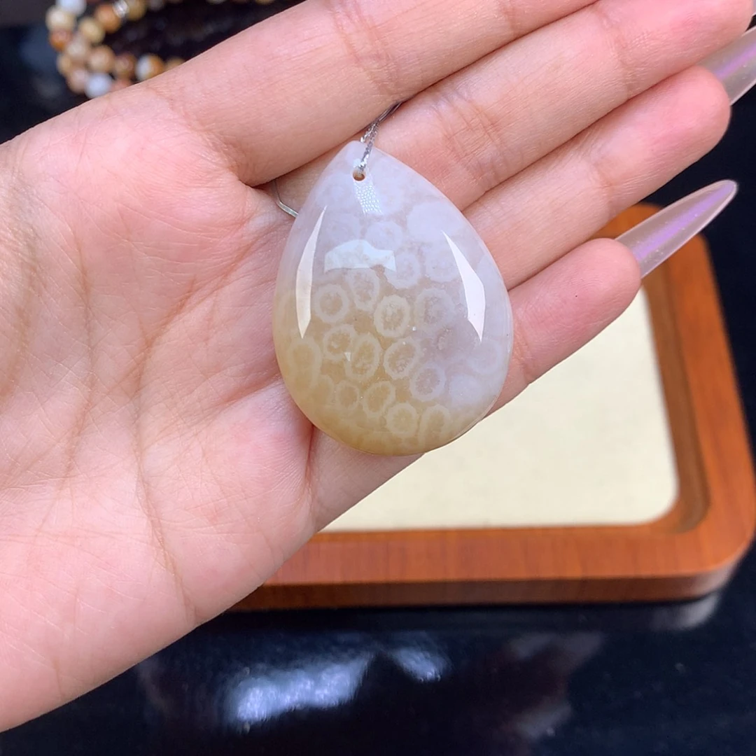 【闪购商品】颈饰未镶嵌硅化珊瑚（珊瑚玉）