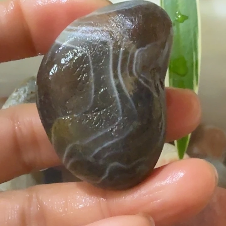 玛瑙/玉髓未镶嵌原石