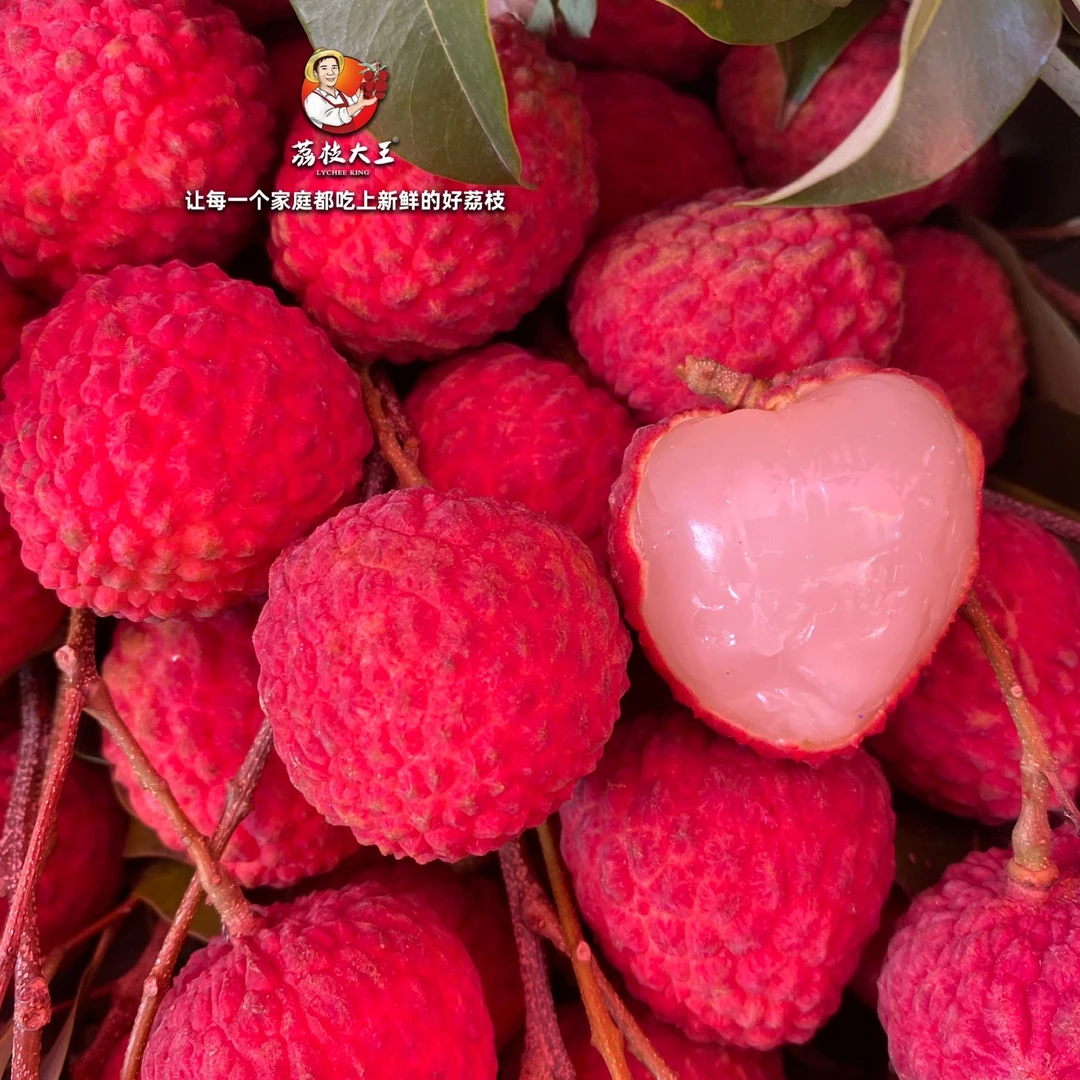 （顺丰冷链）正宗高州早熟仙进奉荔枝 现摘先发 15年老品牌