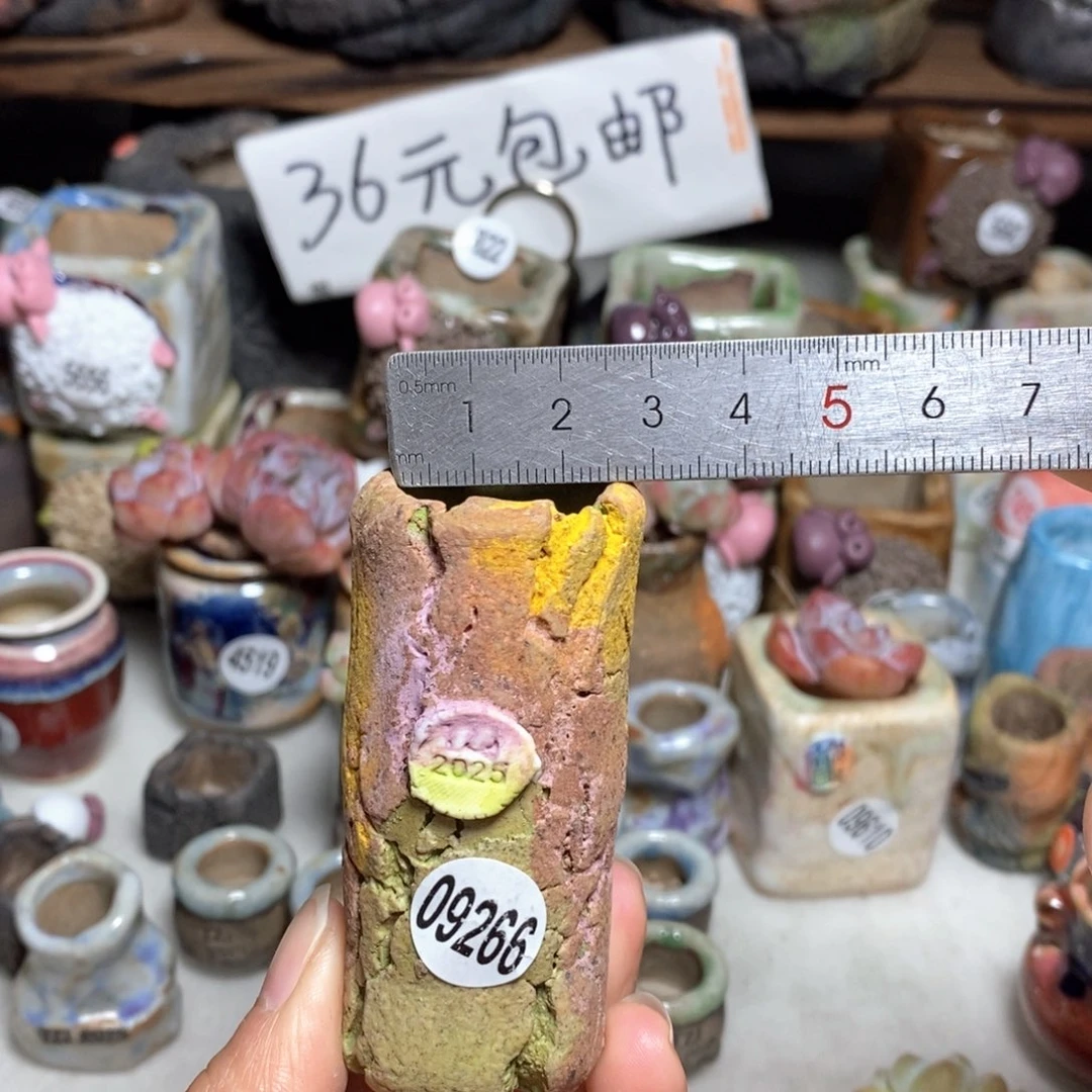 拍3送一个小礼物