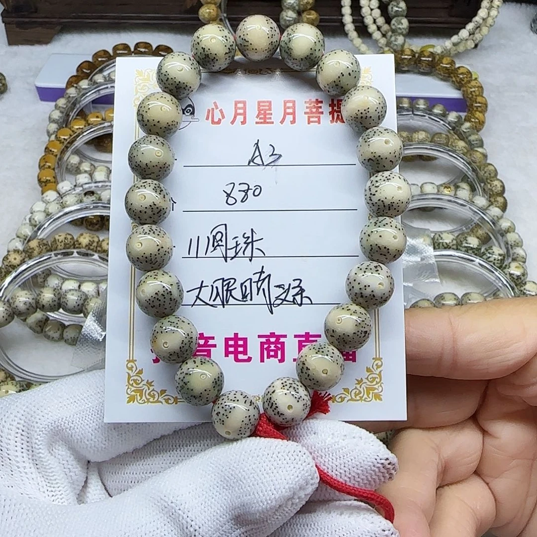 話****i海南心月星月菩提A3