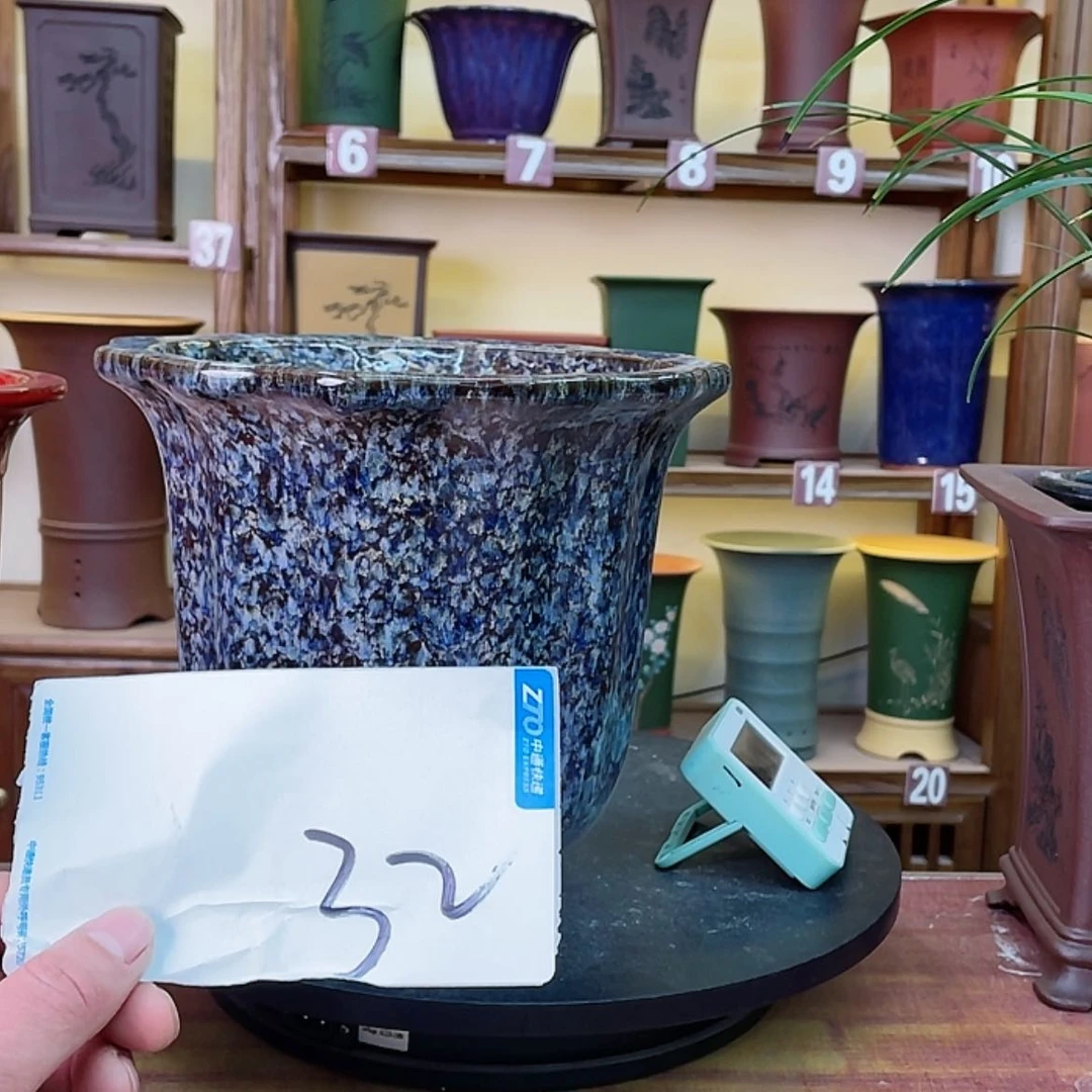 【闪购商品】紫砂花盆空***兰花755544785884777888