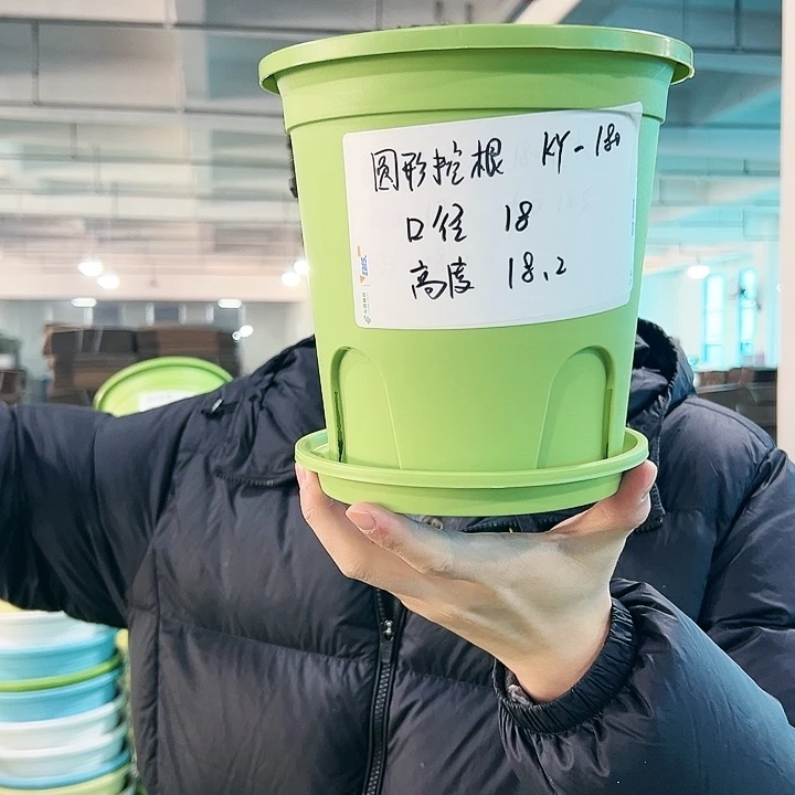 正品圆控口18高18果绿带托8只