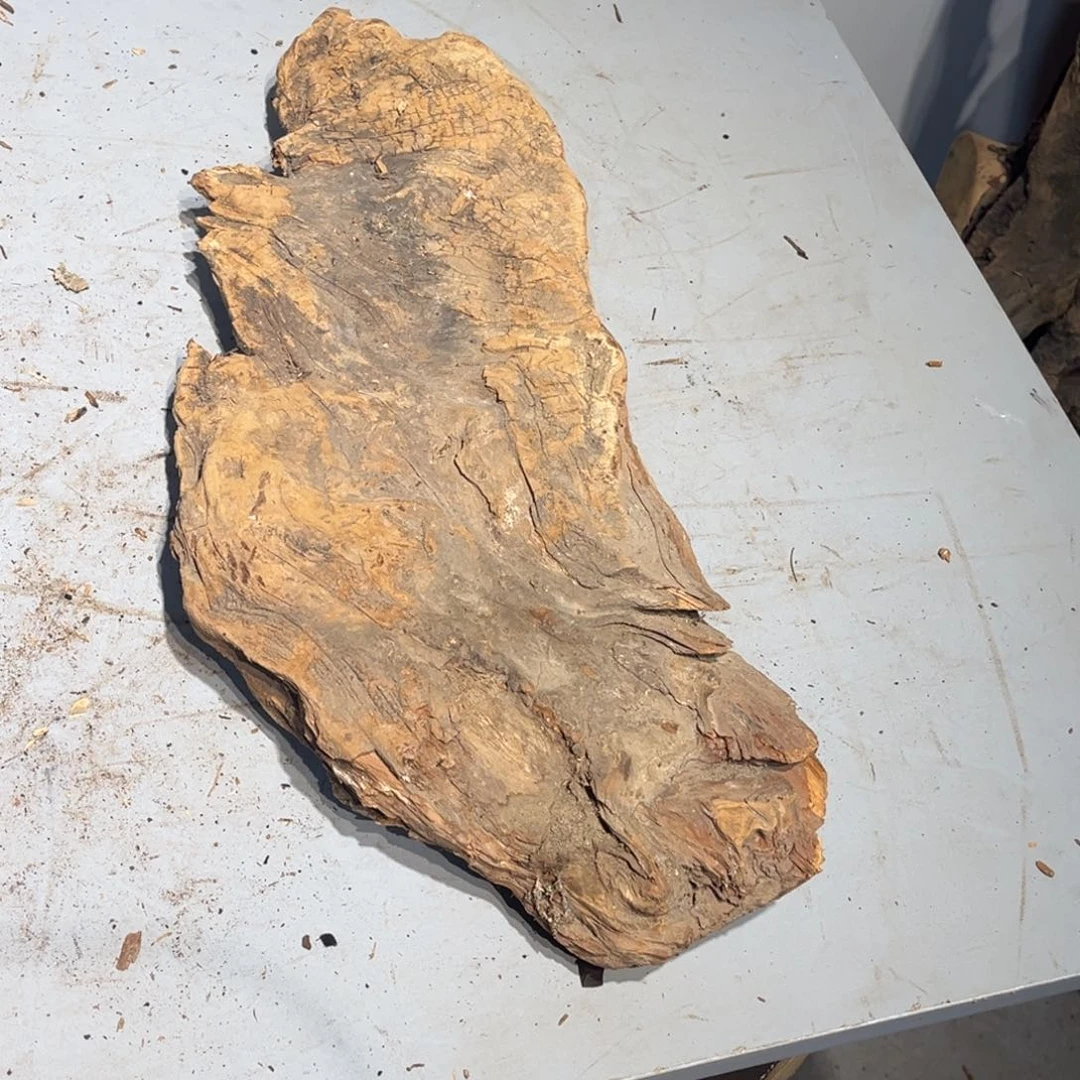 神***？柏木（崖柏）陈化的人