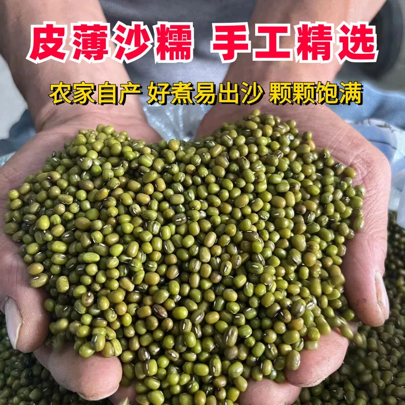 3斤净重农家新绿豆皮薄易煮小绿豆新鲜可发芽绿豆煮粥煮绿豆汤沙