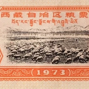 1973年西藏自治区粮票贰市两全品1枚真品如图供应票证旧藏收藏