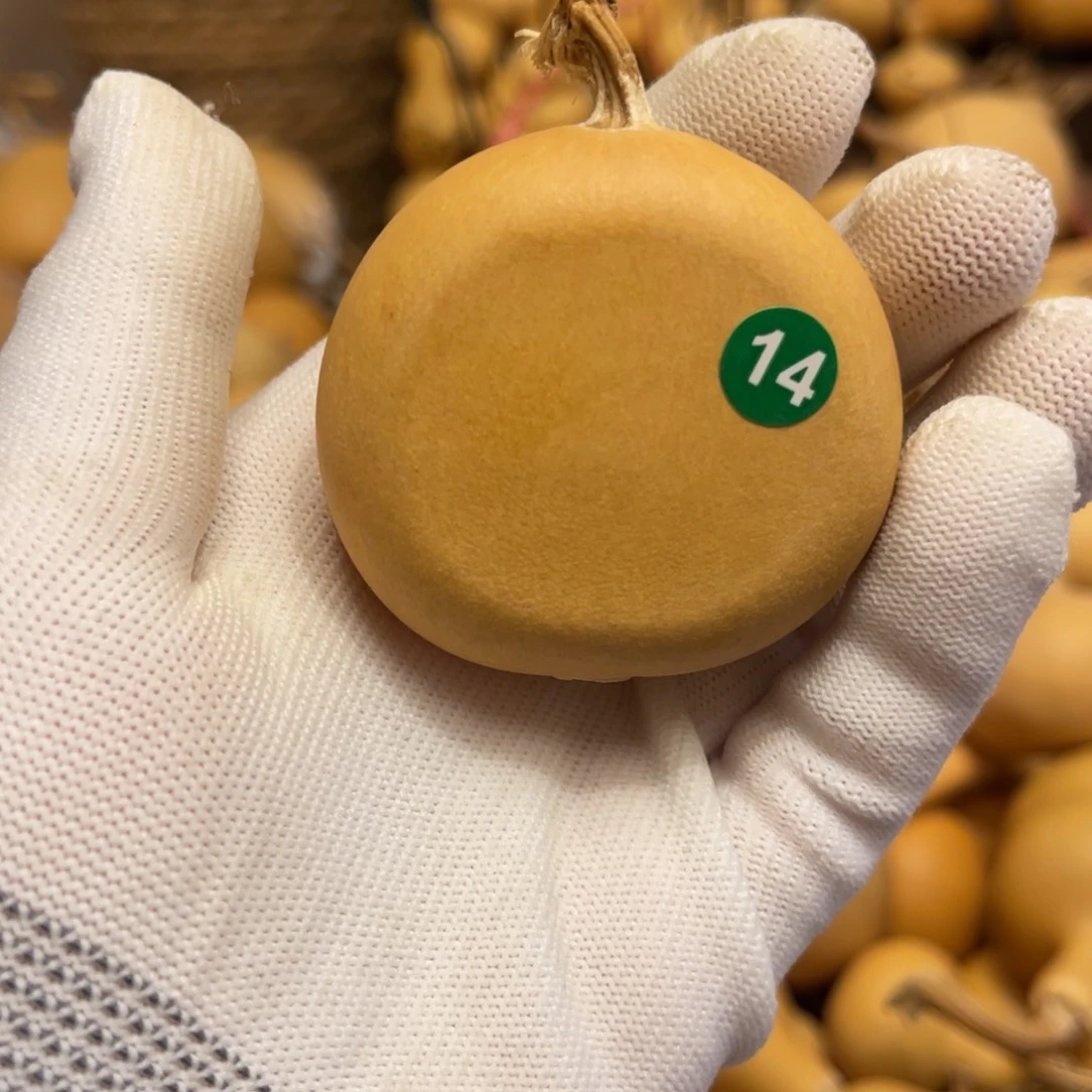 闪拍葫芦链接-14号品