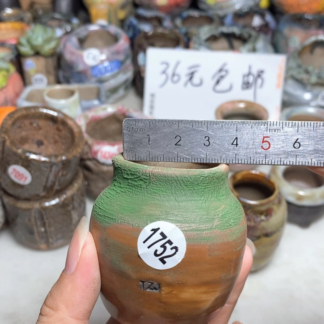 拍5送一个小礼物