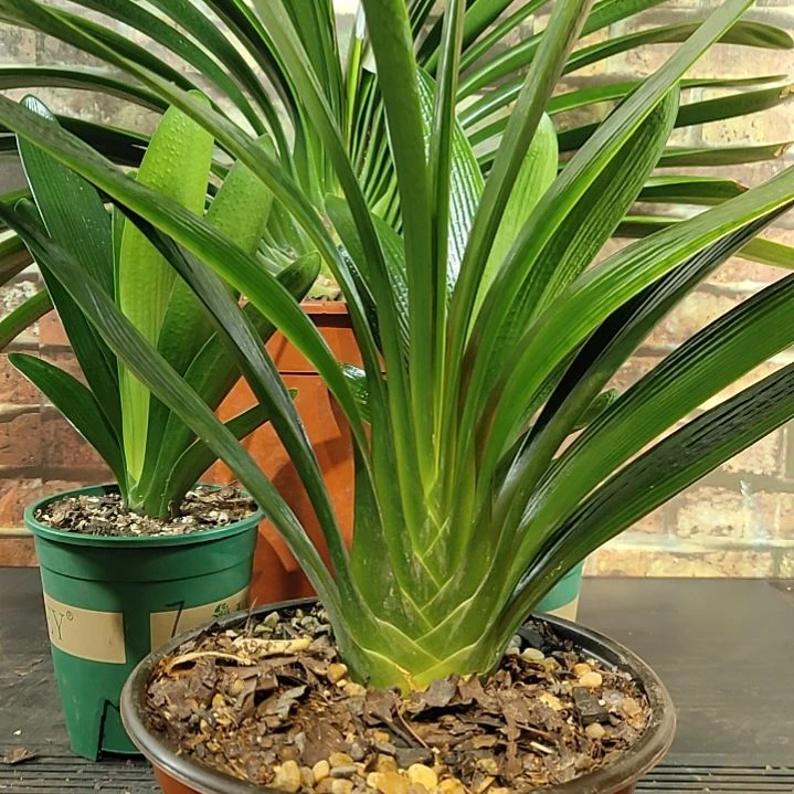 完全开放1111111111