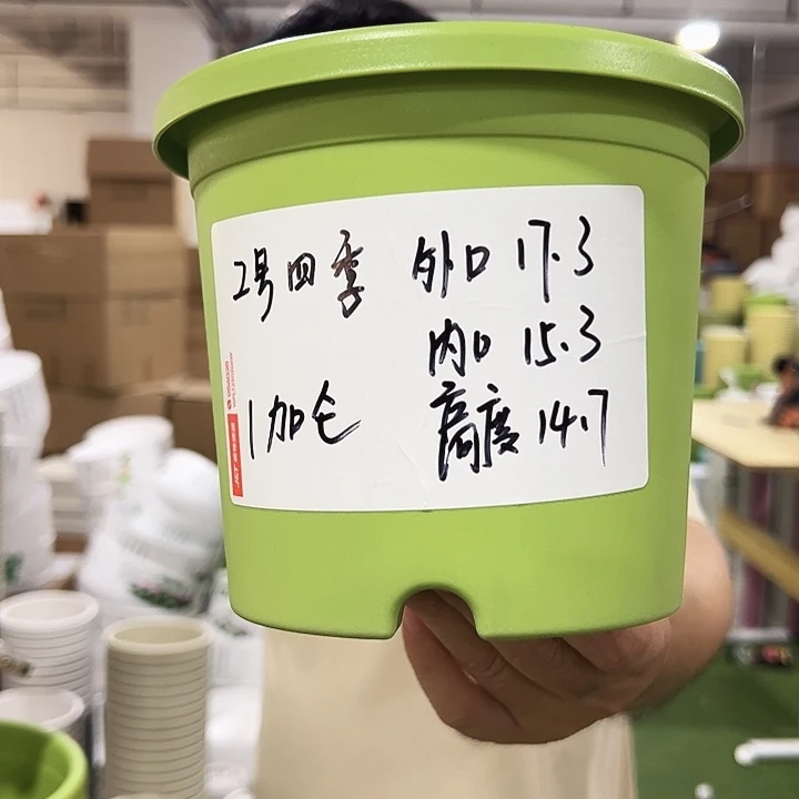 特价2号口17高15果绿色10只无托