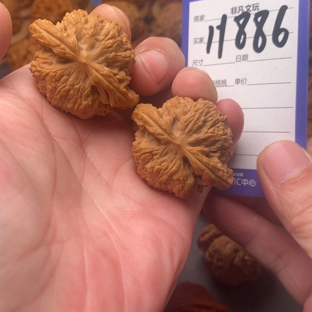 文玩核桃吊坠42野生无名果