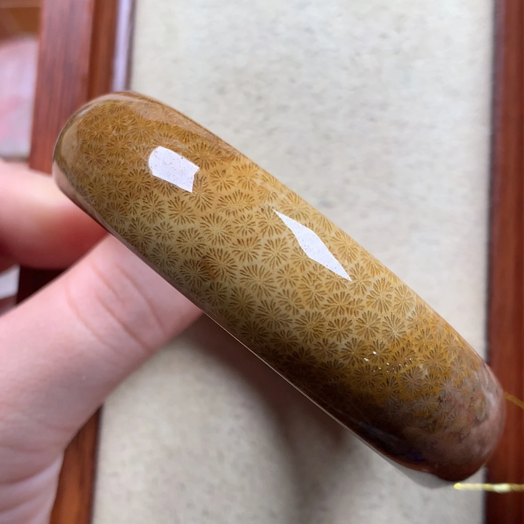 未镶嵌清晰枫叶60圈漏150/个。24硅化珊瑚（珊瑚玉）