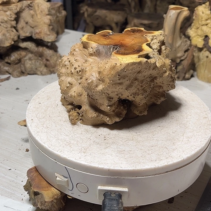 香榧木麻梨疙瘩的山山水水