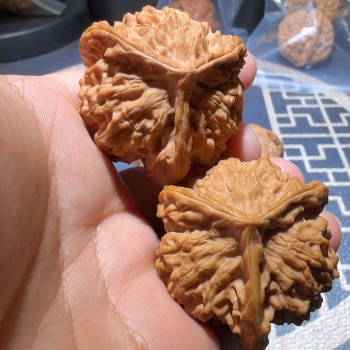 把件猴头核桃公子帽正奔