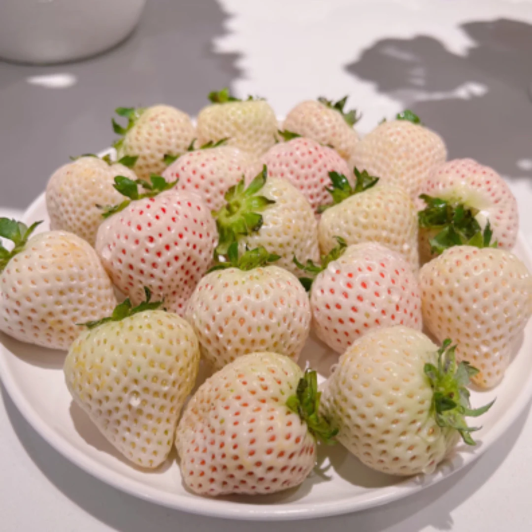 丹东淡雪草莓 新鲜水果 应季水果