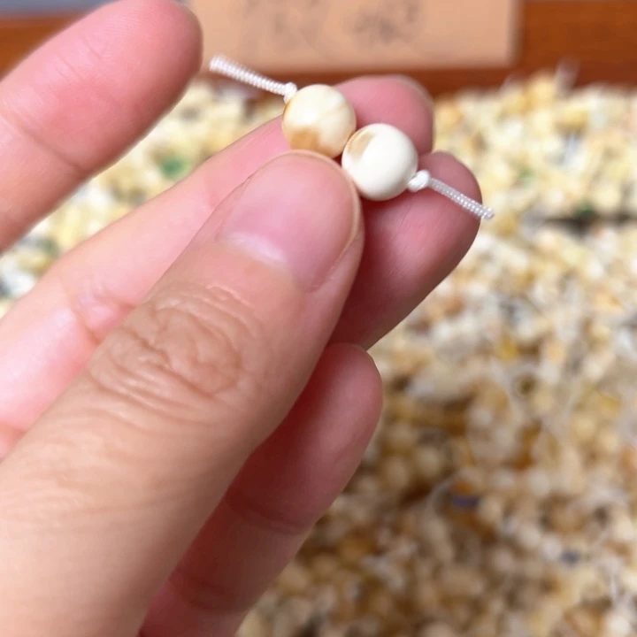 蜜蜡未镶嵌裸石7.6mm一对
