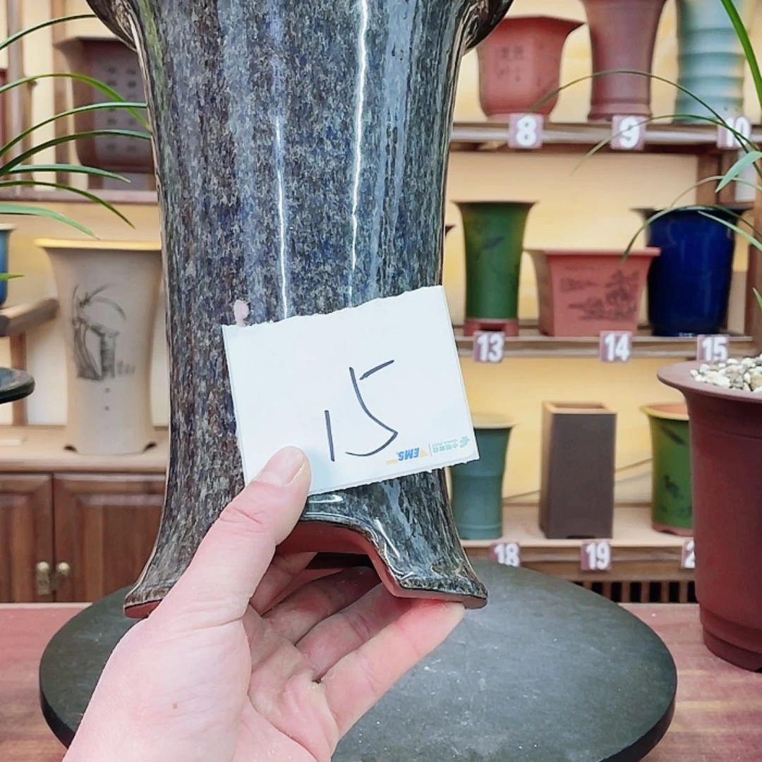 【闪购商品】紫砂花盆陈**意兰花755588853698855688