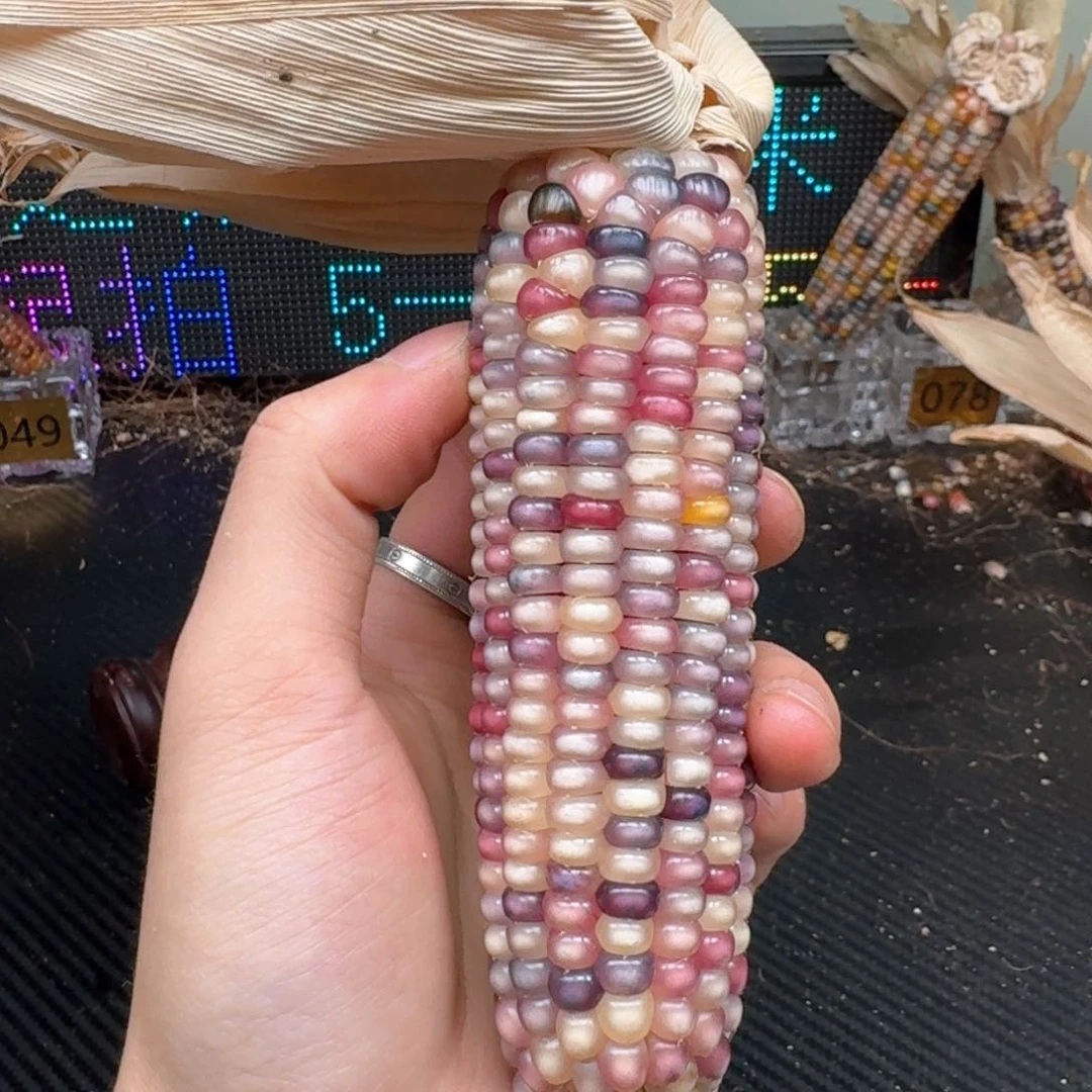 柏香籽/百香籽吊坠香**汁