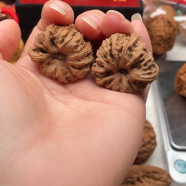 一根筋 32-32 凹底有黄