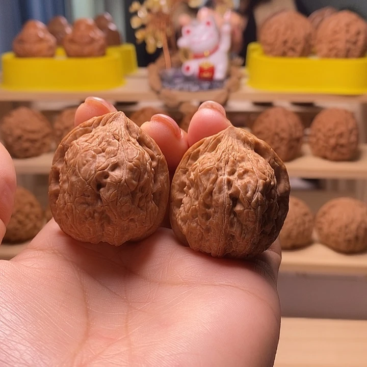 37尺寸的金钱豹克重大