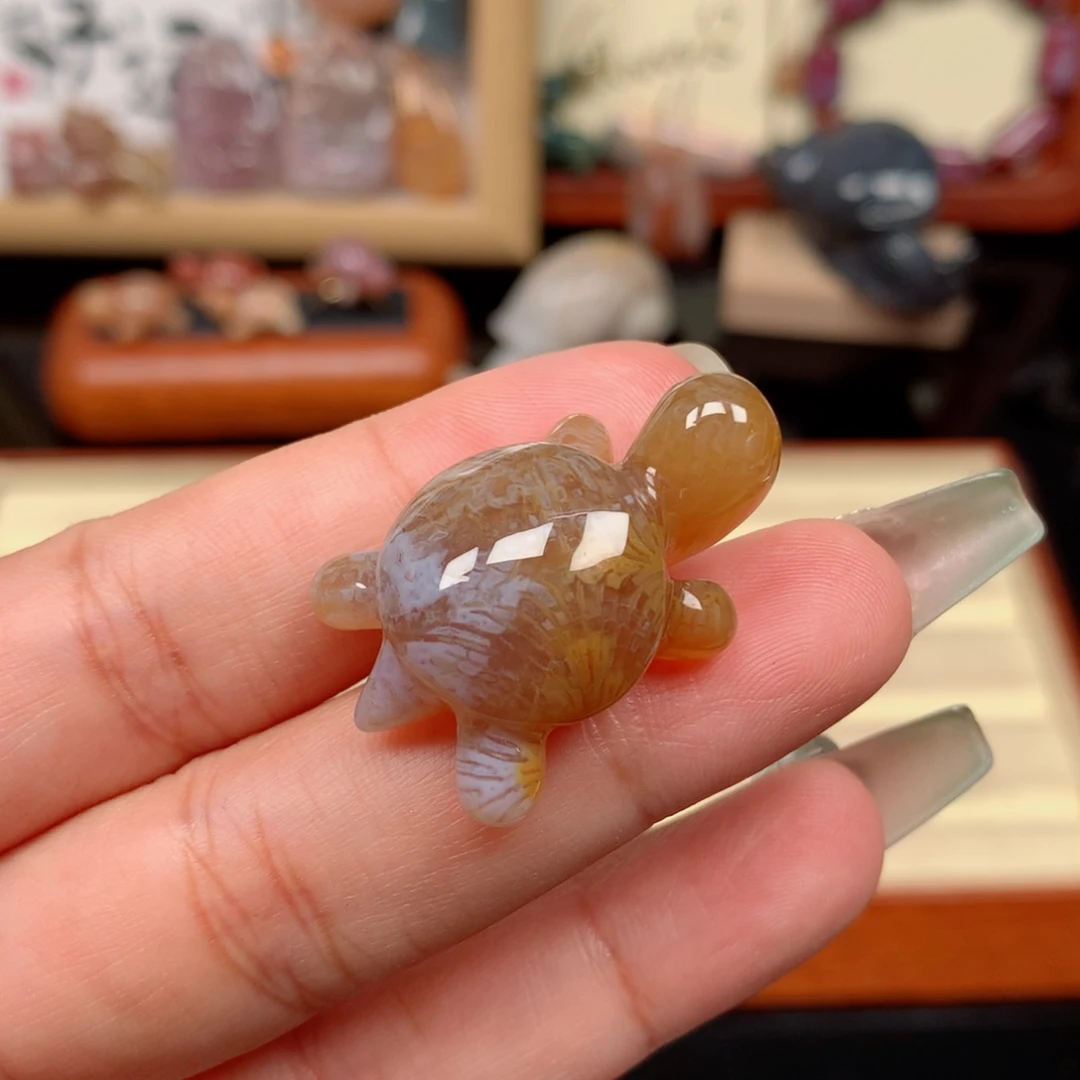 硅化玉未镶嵌颈饰